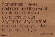 Quotation-David-Whyte-sweet-darkness-Meetville-Quotes-274842