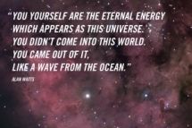 allan-watts-quote-300x200