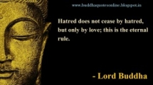 buddha-quotes-about-love-20150321024733-550cdbc579146-m6jcohwqtjwkqoj92soy619ruh4l9ngjzwidk2d18w